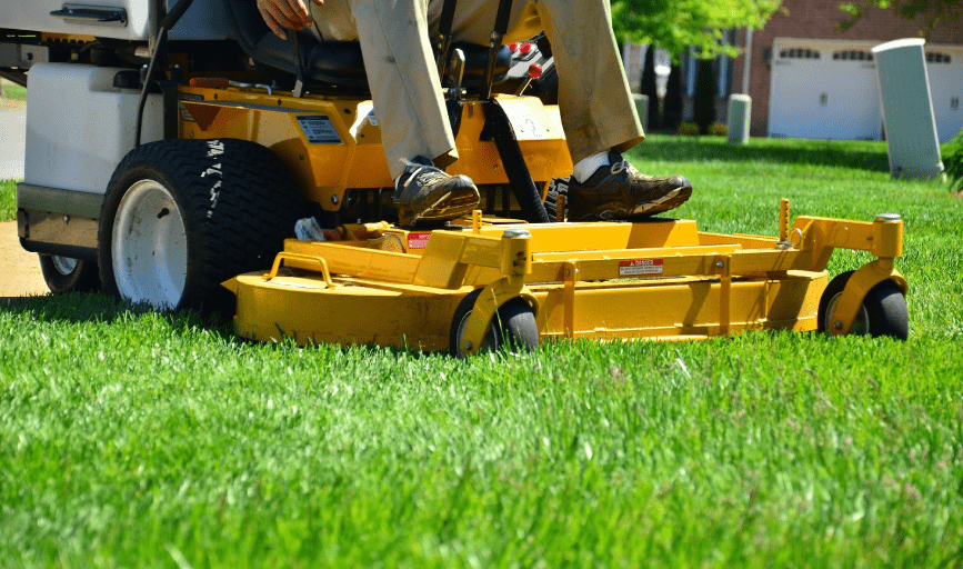 Yard Work